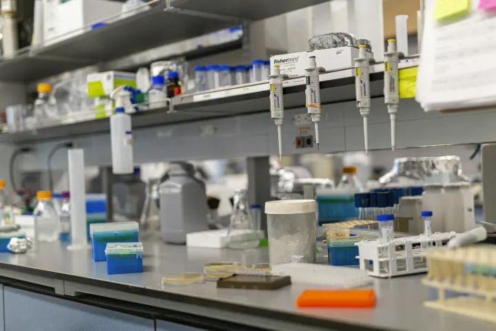 A laboratory bench is full of scientific equipment